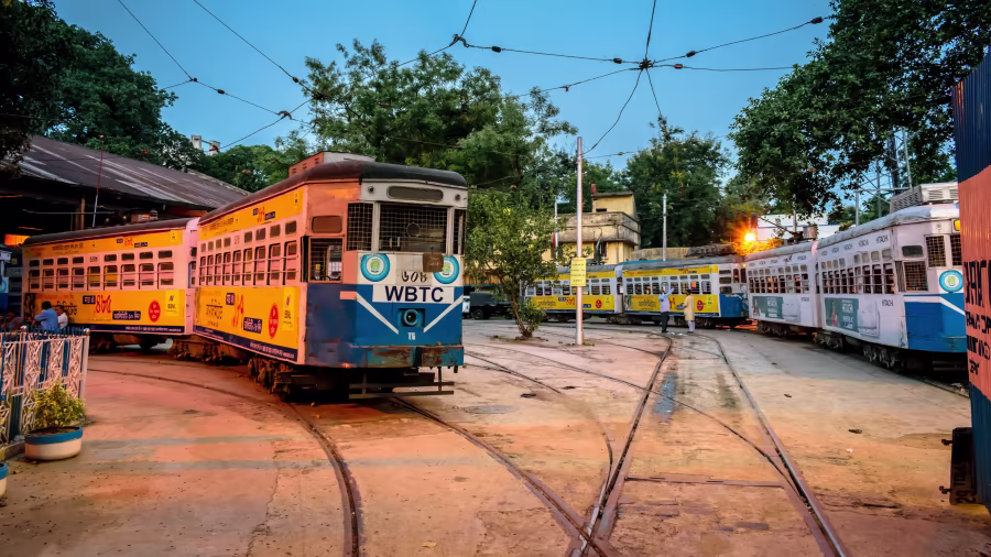 portfolio item image