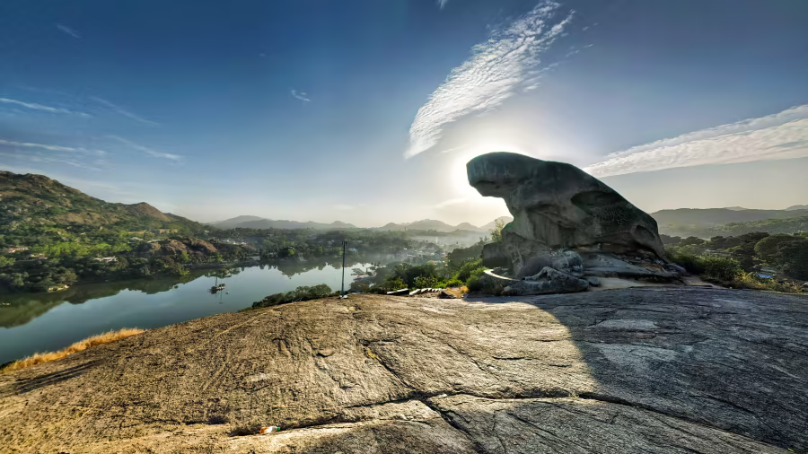 portfolio item image