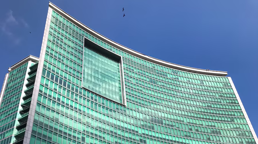 portfolio item image